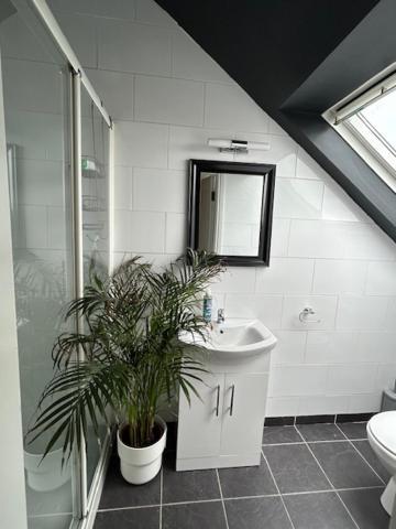 The Lodge, Monkstown Monkstown  Exteriör bild